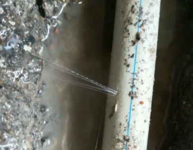 广州市测漏水哪家好