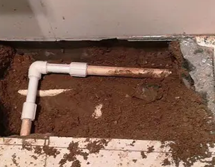 广州市测漏水哪家好