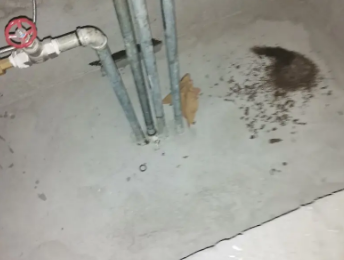 广州市卫生间测漏水价格明细