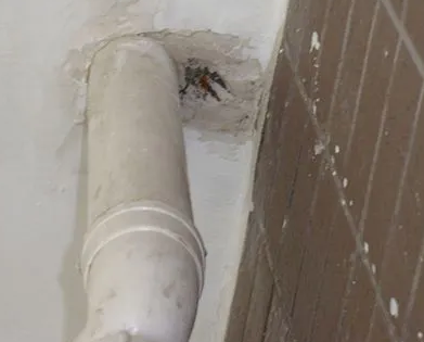 广州市漏水检测哪家好